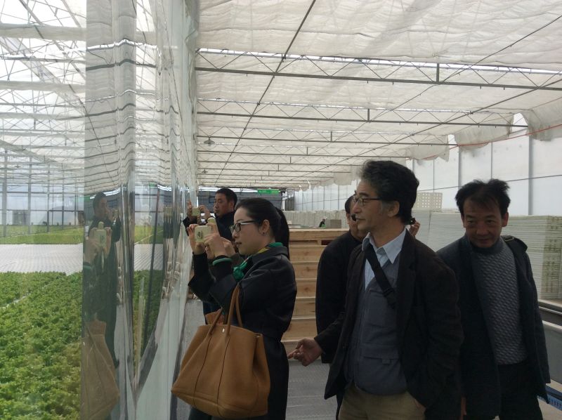 日本园艺专家考察团近日前来绿沃川农场进行考察访问