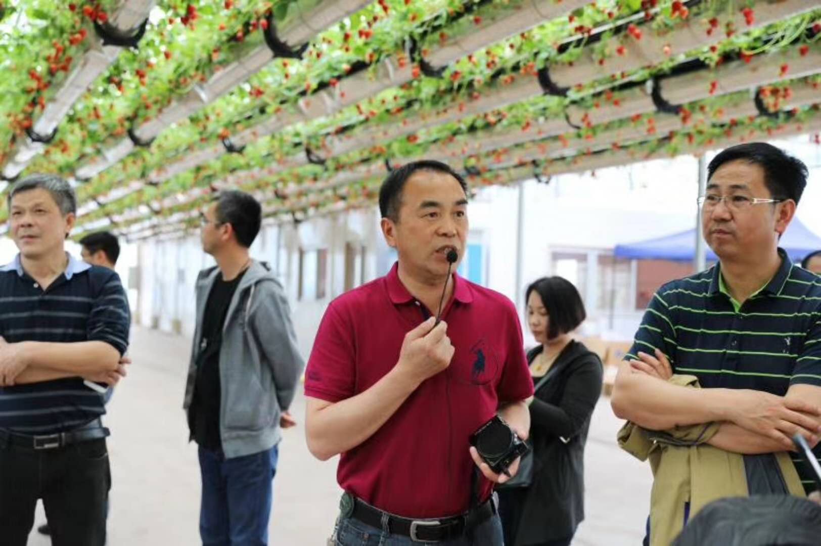 上海市奉贤区农业考察团专程考察绿沃川现代化农场